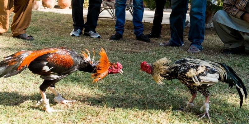 Nhà cái thanh toán an toàn cho mọi trải nghiệm